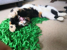 Load image into Gallery viewer, CATMAT Tissue Paper Grass Cat Mat (pack of 2) FREE SHIPPING - Catmats, Tunnels, Springs and Things
