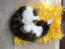 Load image into Gallery viewer, CATMAT YELLOW Tissue Paper Grass Cat Mat (pack of 2) CLEARANCE ADD-ON Item - Catmats, Tunnels, Springs and Things