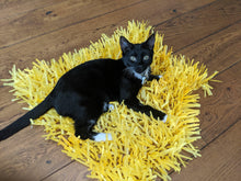 Load image into Gallery viewer, CATMAT YELLOW Tissue Paper Grass Cat Mat (pack of 2) CLEARANCE ADD-ON Item - Catmats, Tunnels, Springs and Things