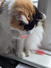 Load image into Gallery viewer, CAT MAT Luxury Cat Spring Toy pack of 10 - Catmats, Tunnels, Springs and Things