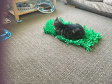 Load image into Gallery viewer, CATMAT Tissue Paper Grass Cat Mat (pack of 2) FREE SHIPPING - Catmats, Tunnels, Springs and Things