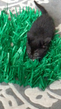 Load and play video in Gallery viewer, Tissue Paper Grass Mat