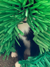 Load image into Gallery viewer, CATMAT Tissue Paper Grass Cat Mat (pack of 2) FREE SHIPPING - Catmats, Tunnels, Springs and Things