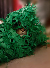 Load image into Gallery viewer, CATMAT Tissue Paper Grass Cat Mat (pack of 2) FREE SHIPPING - Catmats, Tunnels, Springs and Things