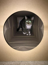 Load image into Gallery viewer, CATMAT Heavy Duty brown paper and card cat tunnel.  1 Metre long.  FREE SHIPPING - Catmats, Tunnels, Springs and Things