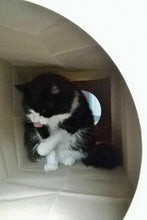 Load image into Gallery viewer, CATMAT Heavy Duty brown paper and card cat tunnel.  1 Metre long.  FREE SHIPPING - Catmats, Tunnels, Springs and Things