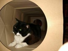 Load image into Gallery viewer, CATMAT Heavy Duty brown paper and card cat tunnel.  1 Metre long.  FREE SHIPPING - Catmats, Tunnels, Springs and Things