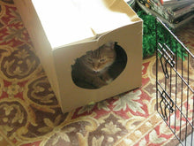Load image into Gallery viewer, CATMAT Heavy Duty brown paper and card cat tunnel.  1 Metre long.  FREE SHIPPING - Catmats, Tunnels, Springs and Things
