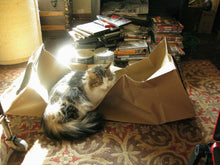 Load image into Gallery viewer, CATMAT Heavy Duty brown paper and card cat tunnel.  1 Metre long.  FREE SHIPPING - Catmats, Tunnels, Springs and Things