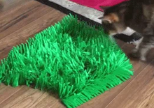 Load image into Gallery viewer, CATMAT Tissue Paper Grass Cat Mat (pack of 2) FREE SHIPPING - Catmats, Tunnels, Springs and Things