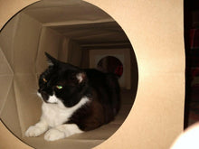 Load image into Gallery viewer, CATMAT Heavy Duty brown paper and card cat tunnel.  1 Metre long.  FREE SHIPPING - Catmats, Tunnels, Springs and Things