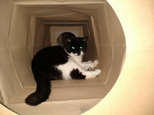 Load image into Gallery viewer, CATMAT Heavy Duty brown paper and card cat tunnel.  1 Metre long.  FREE SHIPPING - Catmats, Tunnels, Springs and Things