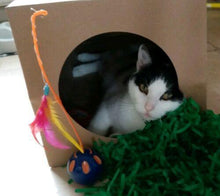 Load image into Gallery viewer, CATMAT Heavy Duty brown paper and card cat tunnel.  1 Metre long.  FREE SHIPPING - Catmats, Tunnels, Springs and Things
