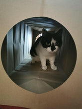 Load image into Gallery viewer, CATMAT Heavy Duty brown paper and card cat tunnel.  1 Metre long.  FREE SHIPPING - Catmats, Tunnels, Springs and Things