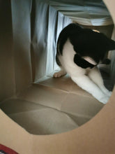 Load image into Gallery viewer, CATMAT Heavy Duty brown paper and card cat tunnel.  1 Metre long.  FREE SHIPPING - Catmats, Tunnels, Springs and Things