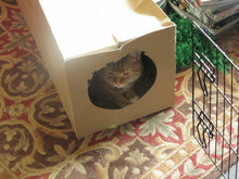 Load image into Gallery viewer, CATMAT Heavy Duty brown paper and card cat tunnel.  1 Metre long.  FREE SHIPPING - Catmats, Tunnels, Springs and Things