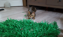 Load image into Gallery viewer, CATMAT Tissue Paper Grass Cat Mat (pack of 2) FREE SHIPPING - Catmats, Tunnels, Springs and Things