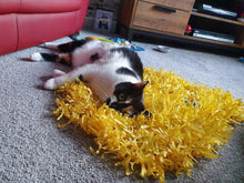 Load image into Gallery viewer, CATMAT YELLOW Tissue Paper Grass Cat Mat (pack of 2) CLEARANCE ADD-ON Item - Catmats, Tunnels, Springs and Things