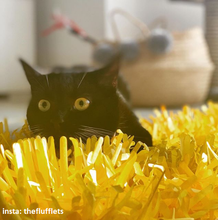Load image into Gallery viewer, CATMAT YELLOW Tissue Paper Grass Cat Mat (pack of 2) CLEARANCE ADD-ON Item - Catmats, Tunnels, Springs and Things