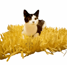 Load image into Gallery viewer, CATMAT YELLOW Tissue Paper Grass Mat 2 pack - Catmats, Tunnels, Springs and Things