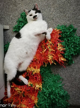 Load image into Gallery viewer, Special &quot;Flame&quot; Red and Orange pack of two tissue paper cat mats

