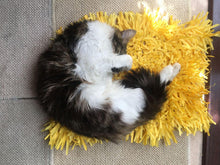 Load image into Gallery viewer, CATMAT YELLOW Tissue Paper Grass Cat Mat (pack of 2) CLEARANCE ADD-ON Item - Catmats, Tunnels, Springs and Things

