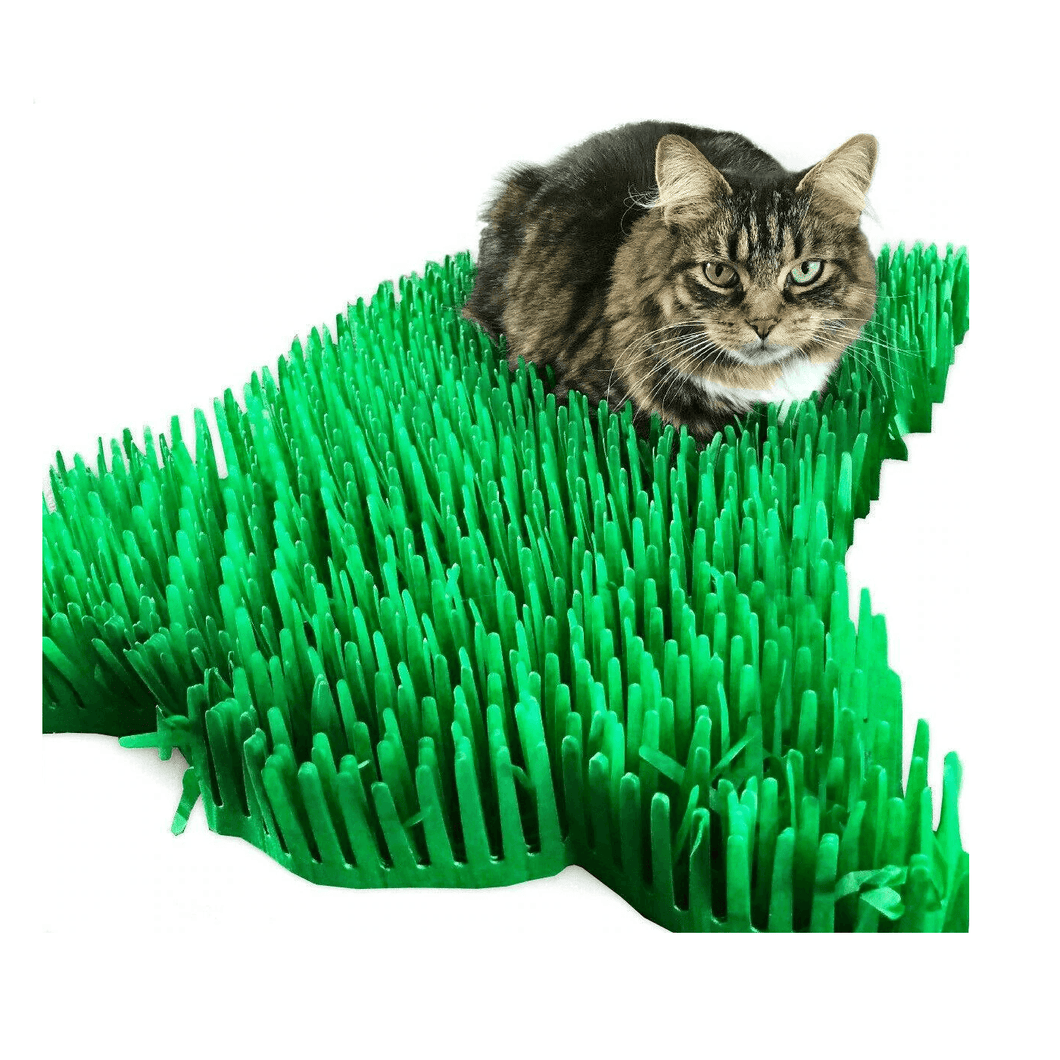 CATMAT Tissue Paper Grass Mat (pack of 2) BUY ONE GET ONE FREE! – Catmats,  Tunnels, Springs and Things