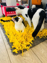 Load image into Gallery viewer, CATMAT YELLOW Tissue Paper Grass Cat Mat (pack of 2) CLEARANCE ADD-ON Item - Catmats, Tunnels, Springs and Things
