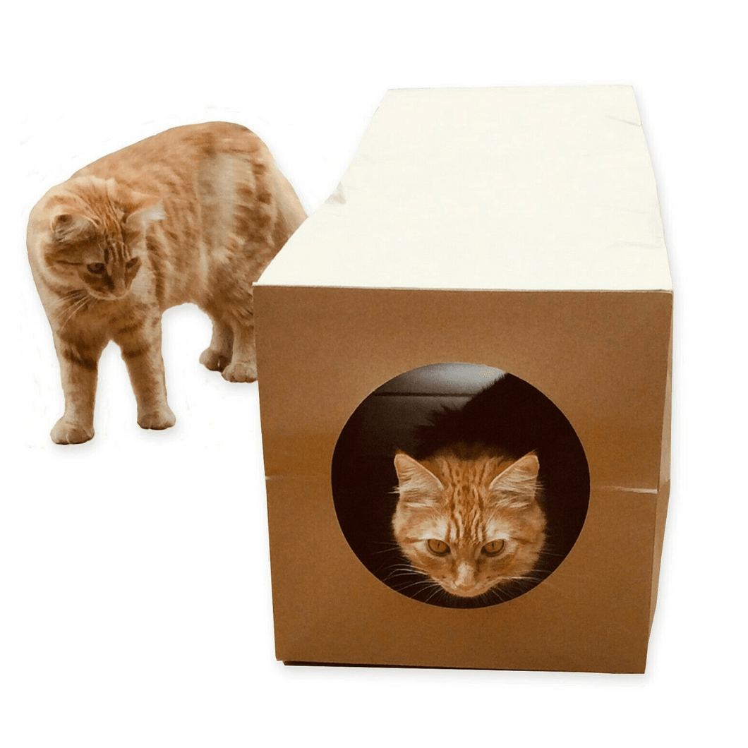 CATMAT Heavy Duty brown paper and card cat tunnel.  1 Metre long. - Catmats, Tunnels, Springs and Things