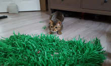 Load image into Gallery viewer, CATMAT Tissue Paper Grass Cat Mat (pack of 2) FREE SHIPPING - Catmats, Tunnels, Springs and Things
